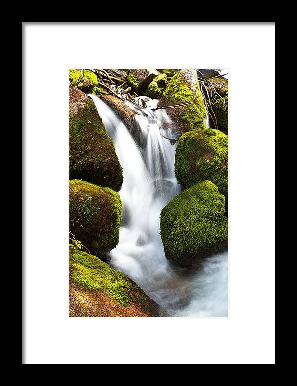 Nature Framed Print featuring the photograph Mossy Water by Steven Reed
