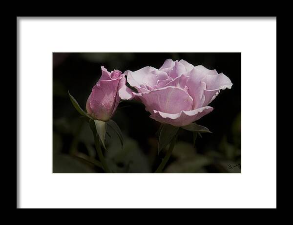 Flowers Framed Print featuring the photograph Mother and Daughter by Penny Lisowski