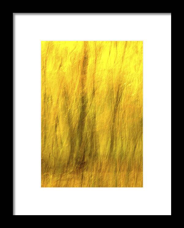 Yellow Framed Print featuring the photograph Motion Series - 121 by Paul W Faust - Impressions of Light