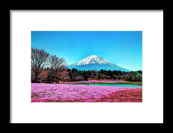 Tranquility Framed Print featuring the photograph Mount Fuji In Spring And Blue Sky by Michaël Ducloux
