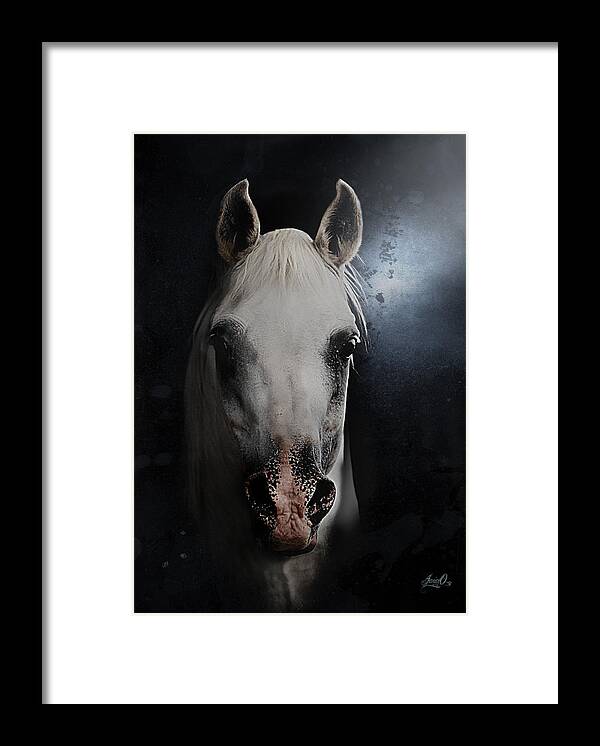 Horse Framed Print featuring the digital art Mount of Kings by Janice OConnor