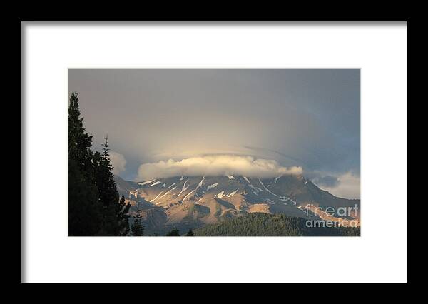 Mount Shasta Framed Print featuring the photograph Mount Shasta - Icing on the Cake by Laura Hamill