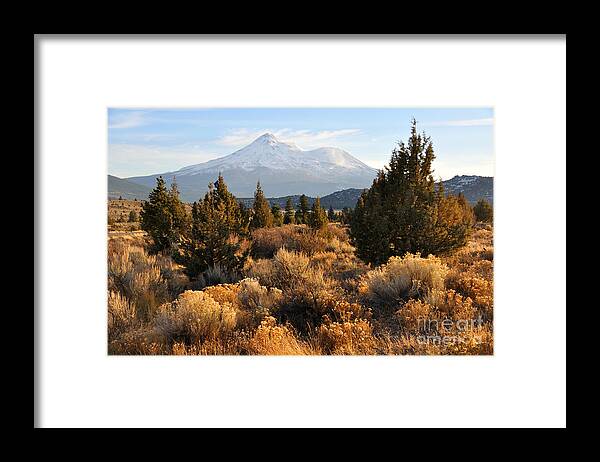 Mt Framed Print featuring the photograph Mount Shasta in the Fall by Gary Whitton
