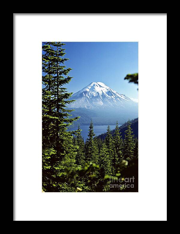 Mount St. Helens And Spirit Lake Framed Print by Thomas & Pat Leeson