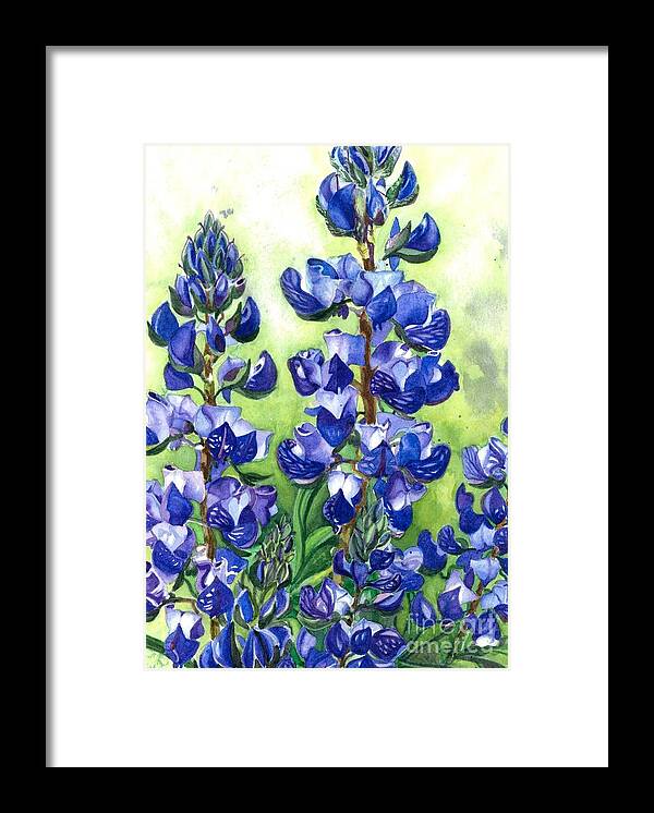 Flowers Framed Print featuring the painting Mountain Blues Lupine Study by Barbara Jewell