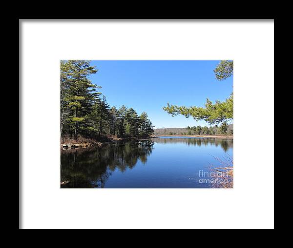 Pond Framed Print featuring the photograph Mountain Pond - Pocono Mountains by Susan Carella