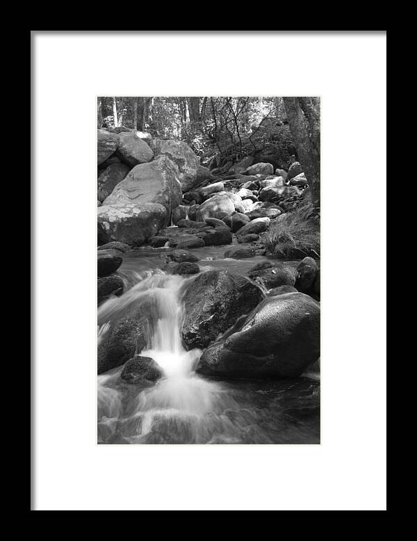 Brook Framed Print featuring the photograph Mountain Stream Monochrome by Larry Bohlin