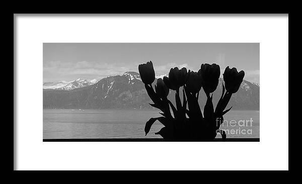 Mountains Framed Print featuring the photograph Mountains and Tulips by Laura Wong-Rose