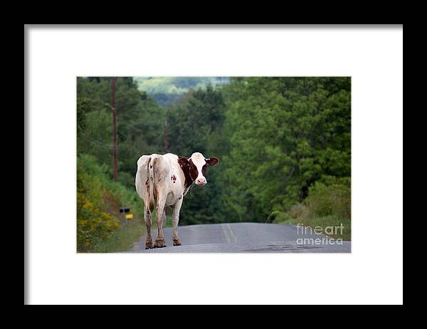 Landscape Framed Print featuring the photograph Movin on Down the Road by Nicki McManus