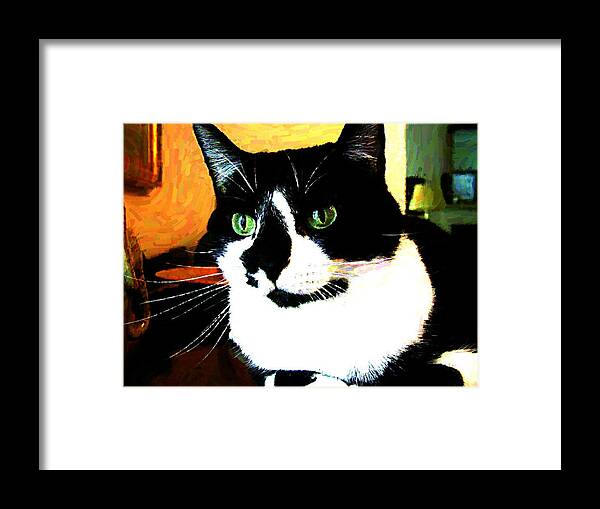 Cat Framed Print featuring the mixed media MPrints - Pookie 3 by M Stuart