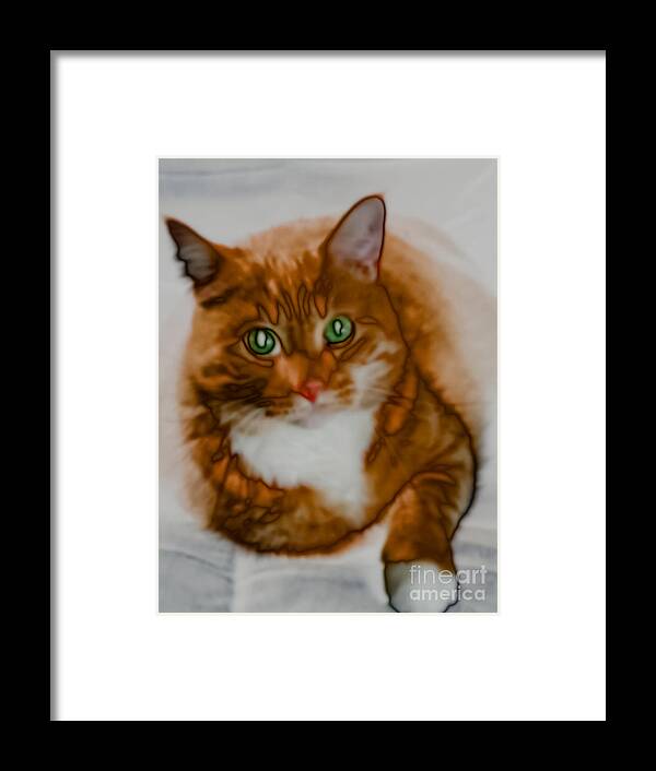 Cat Framed Print featuring the photograph Mr. Orange by Kathi Shotwell