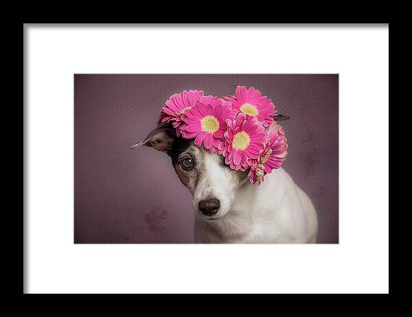 Spring Framed Print featuring the photograph Mrs. Spring by Heike Willers
