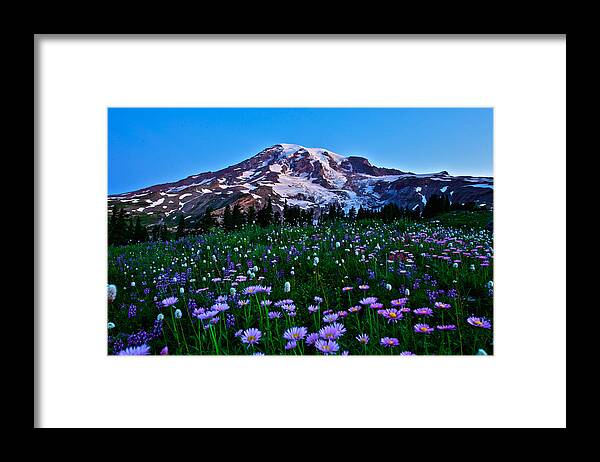  Mt.rainier National Park Framed Print featuring the photograph Mt.Rainier Subalpine wildflowers by Hisao Mogi