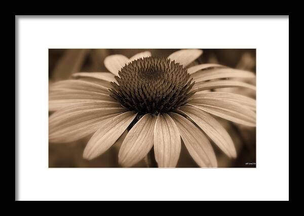 Mucho Marron Framed Print featuring the photograph Mucho Marron by Edward Smith