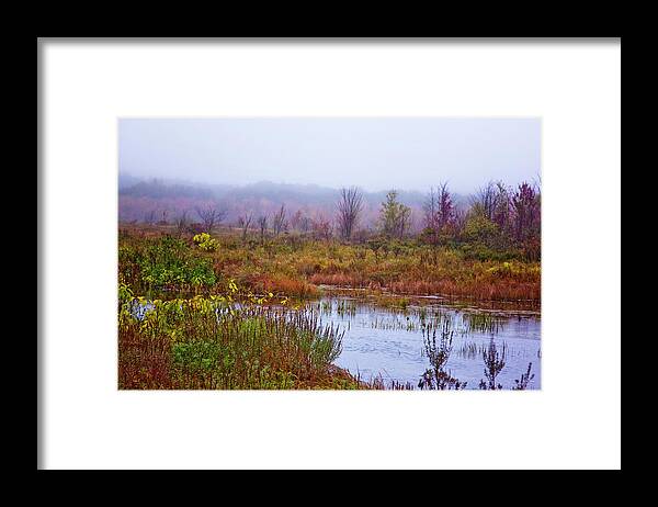 Mud Pond Framed Print featuring the photograph Mud Pond In Autumn by Tom Singleton