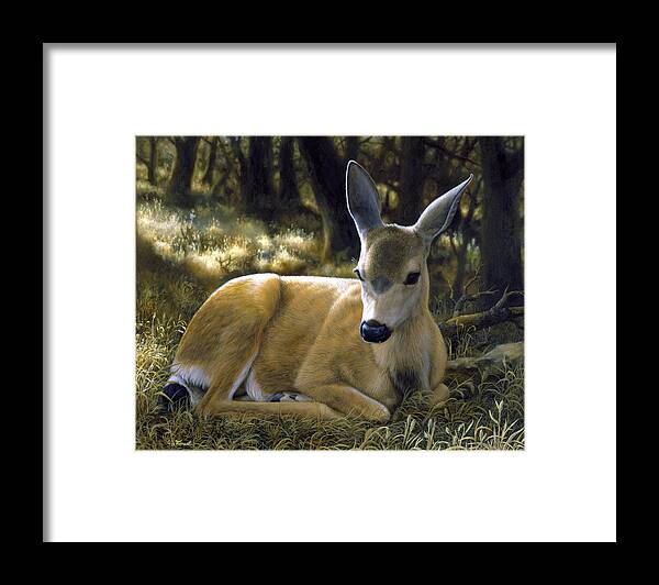 Deer Framed Print featuring the painting Mule Deer Fawn - A Quiet Place by Crista Forest