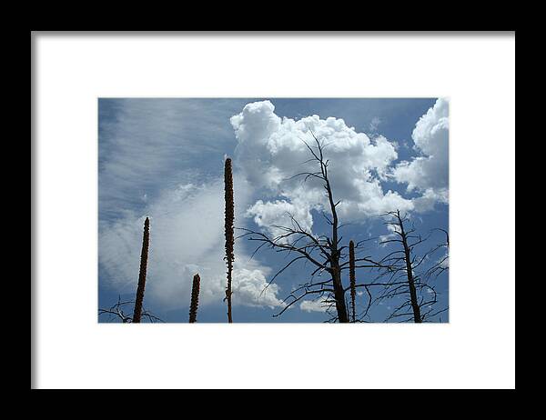 Nature Framed Print featuring the photograph Mulling It Over by Ric Bascobert