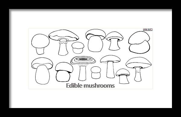 Mushrooms Black Icon Set Mushrooms Edible Fungus Illustration To