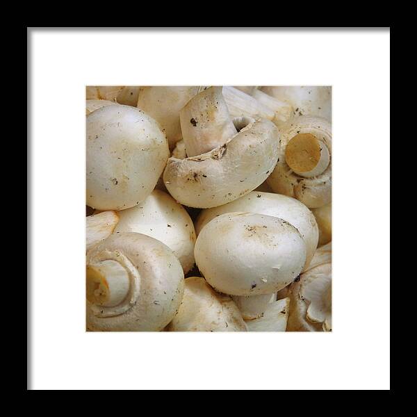 Skompski Framed Print featuring the photograph Mushrooms by Joseph Skompski