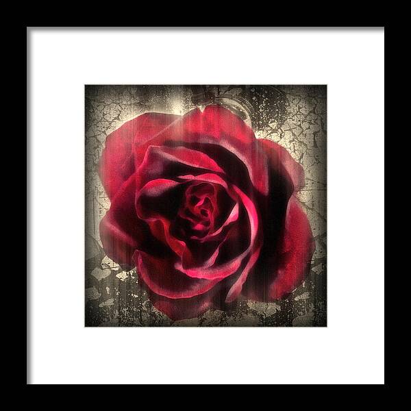 Rose Framed Print featuring the mixed media Music In The Night by Georgiana Romanovna
