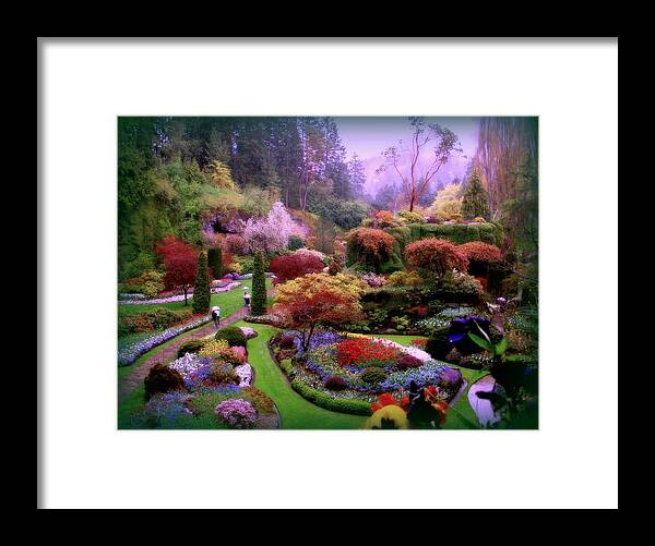 Must Be Heaven Framed Print featuring the photograph Must Be Heaven by Micki Findlay