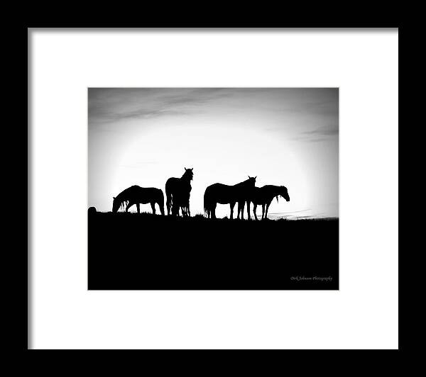Wild Horses Framed Print featuring the photograph Mustang Silhouette by Dirk Johnson