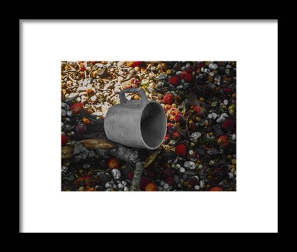 Berry Framed Print featuring the photograph My Cup Falleth Over by Steve Taylor