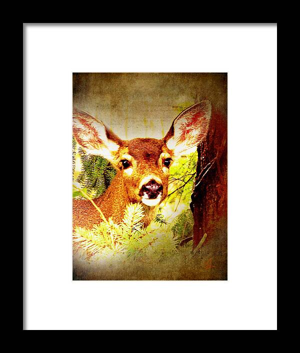Deer Framed Print featuring the photograph My Dear by Music of the Heart