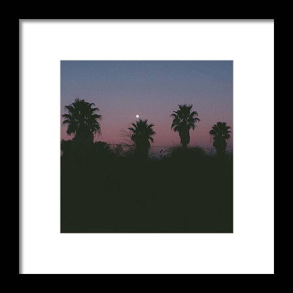  Framed Print featuring the photograph My Hype 🌴🌴🌴🌴🌝 by Blake Fountain 
