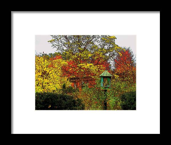 Fine Art Framed Print featuring the photograph My Impressionist View of the Garden by Rodney Lee Williams