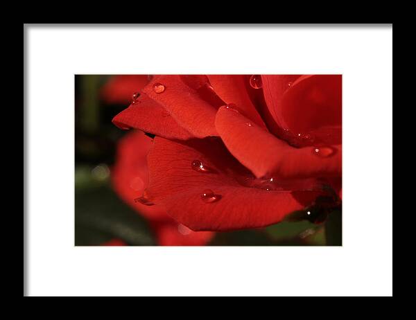  Valentine's Day Framed Print featuring the photograph My Love ... You Sparkle by Connie Handscomb