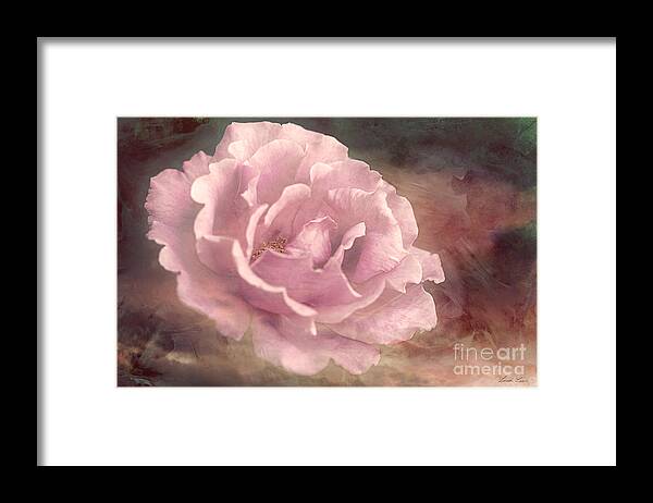 Rose Framed Print featuring the photograph My Soul Surrendered by Linda Lees