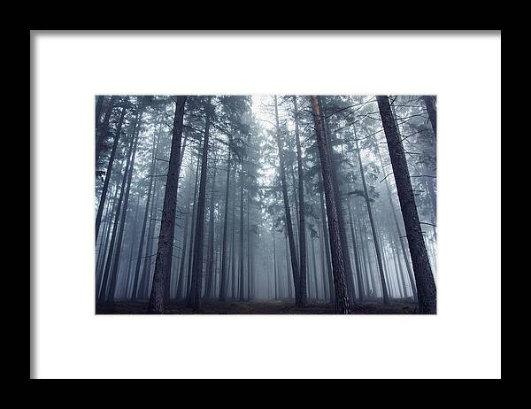 Autumn Framed Print featuring the photograph Mysterious Foggy Forest. by David Charouz