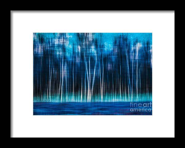 Birch Framed Print featuring the photograph Mystic Forest by Hannes Cmarits