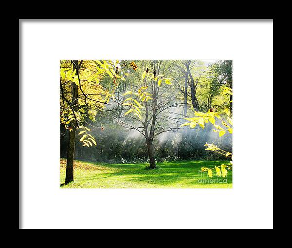 Fall Framed Print featuring the photograph Mystical Parkland by Nina Silver