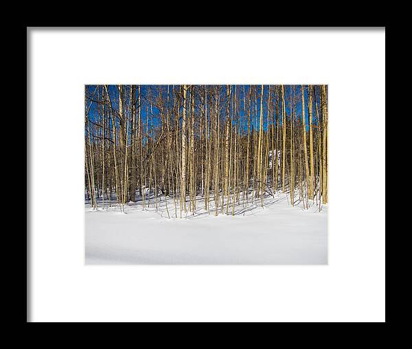 Bare Framed Print featuring the photograph Naked Wilderness by Mike Lee