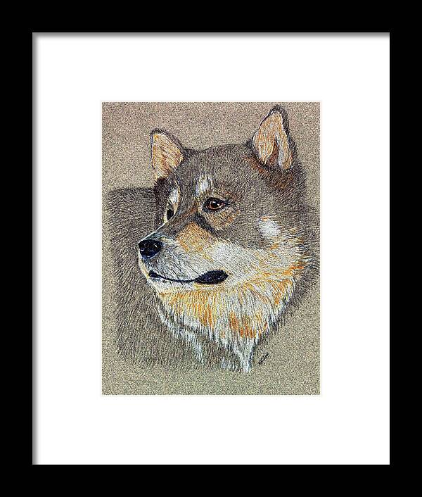 Dog Framed Print featuring the drawing Nanook by Stephanie Grant