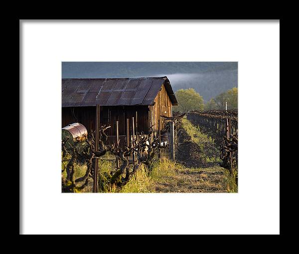 Napa Framed Print featuring the photograph Napa Morning by Bill Gallagher