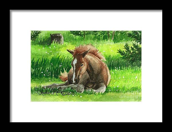 Foal Framed Print featuring the painting Napping Alberta Wild Foal by Linda L Martin