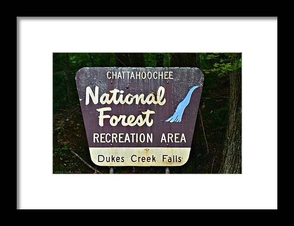 National Framed Print featuring the photograph National Forest Recreation Area by Tara Potts