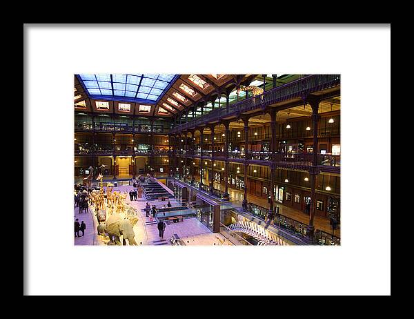 Paris Framed Print featuring the photograph National Museum of Natural History - Paris France - 011370 by DC Photographer