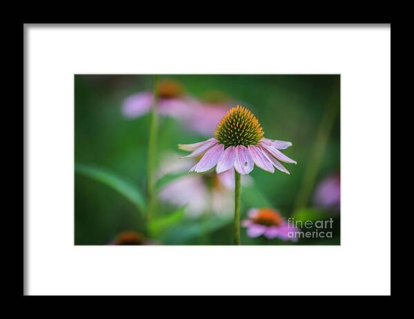 Flowers Framed Print featuring the photograph Natural Beauty by Mina Isaac