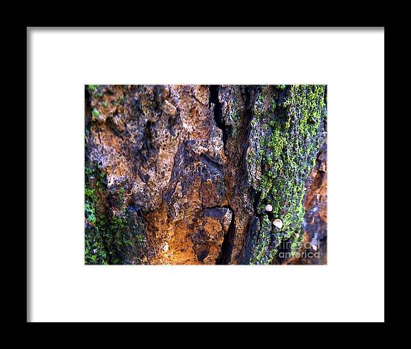 Natural Spirit Framed Print featuring the photograph Natural Spirit by Robyn King