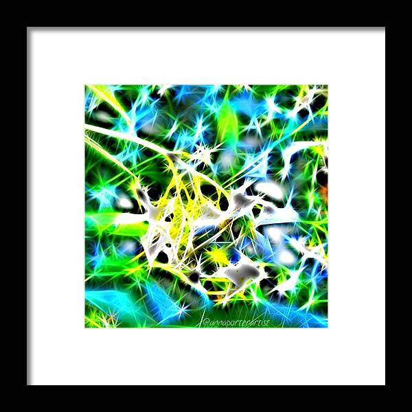 Nature Abstracted Framed Print featuring the photograph Nature Abstracted by Anna Porter