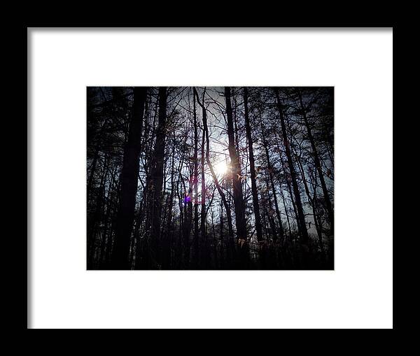 Trees Framed Print featuring the photograph Nature Hike by Chris Montcalmo