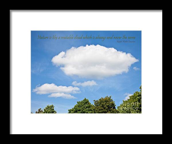 Puffy Clouds Framed Print featuring the photograph Nature is like a Cloud by Liz Leyden