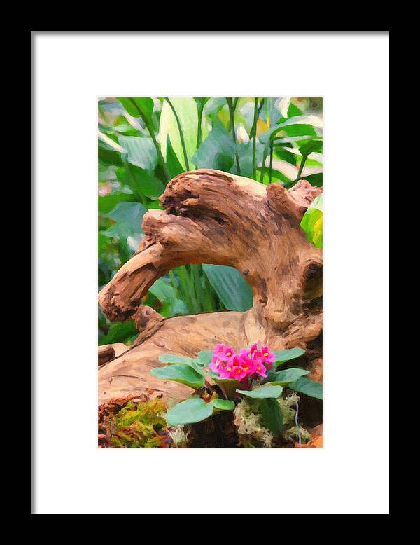 Country Framed Print featuring the photograph Nature Made by M Three Photos