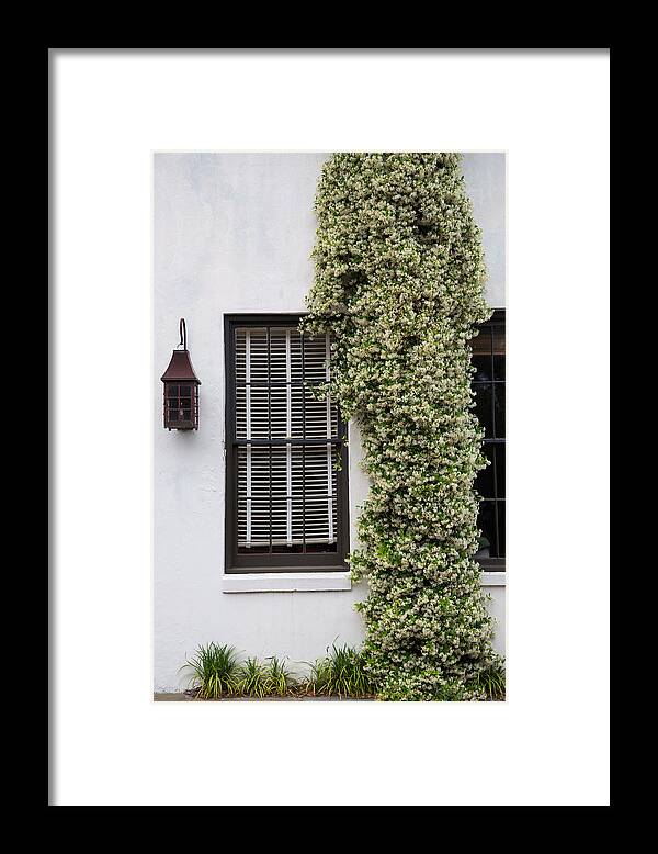 Nature Takes Over Framed Print featuring the photograph Nature Takes Over by Karol Livote