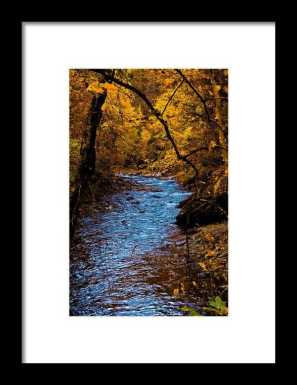 Creek Framed Print featuring the photograph Natures Golden Secret by DigiArt Diaries by Vicky B Fuller
