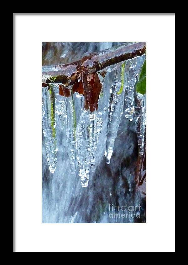 Winter In Oregon Framed Print featuring the photograph Natures Icing by Susan Garren